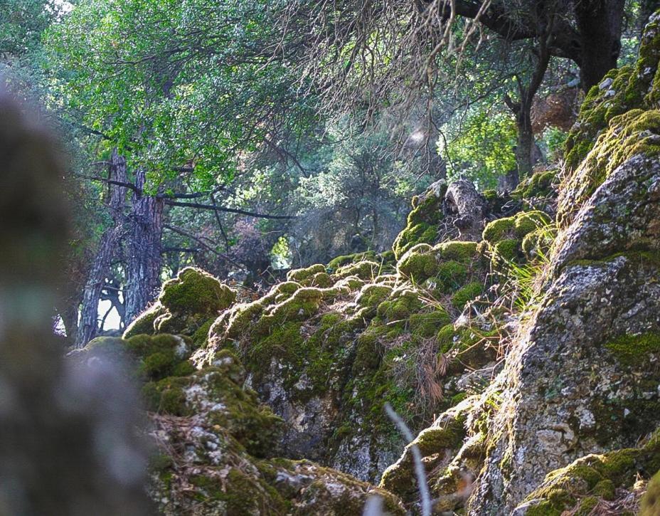 Villa Dio Petres Kroustas エクステリア 写真
